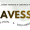 Travessia - Arte Visual e Meio Ambiente